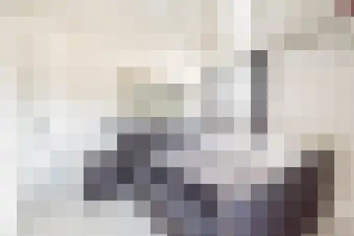 Anholtseweg 8 Gendringen thumbnail 35