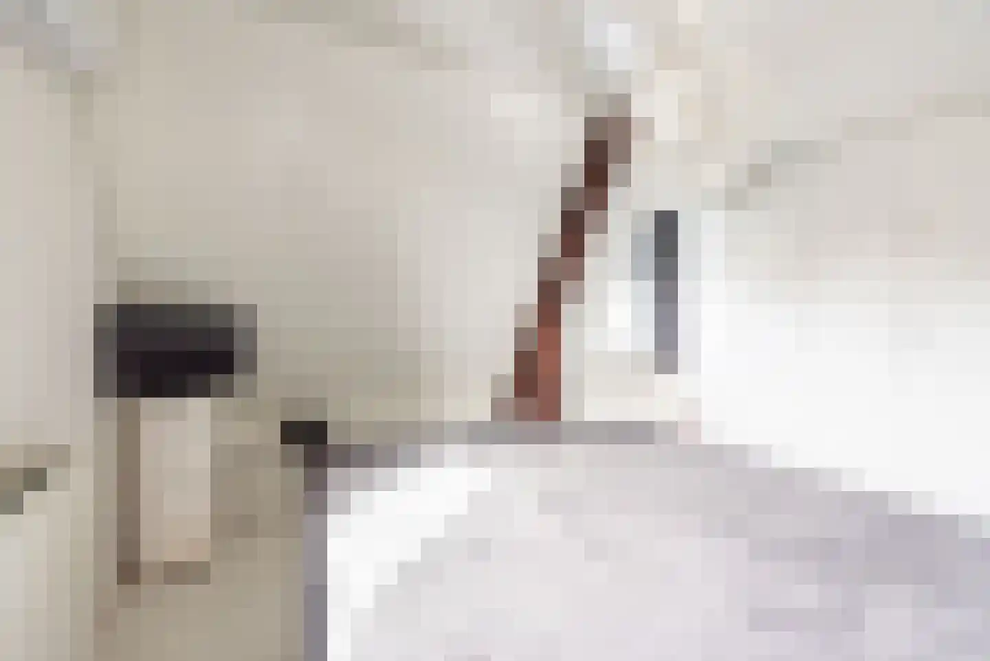 Anholtseweg 8 Gendringen thumbnail 36