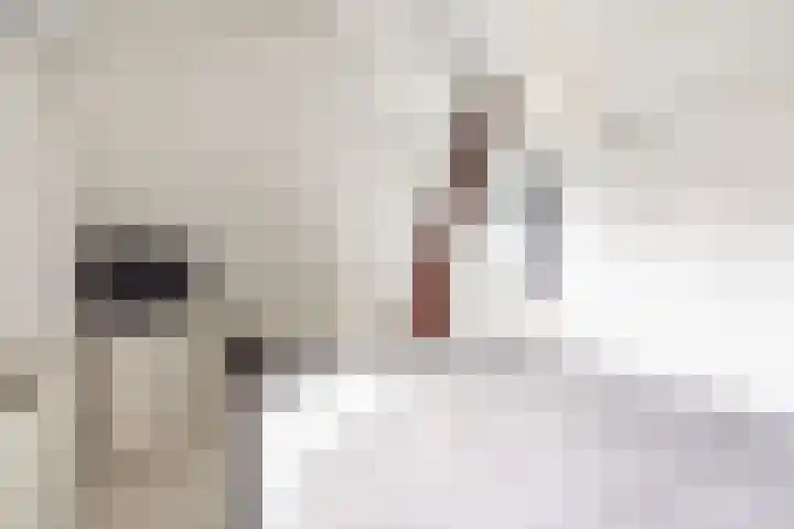 Anholtseweg 8 Gendringen thumbnail 36