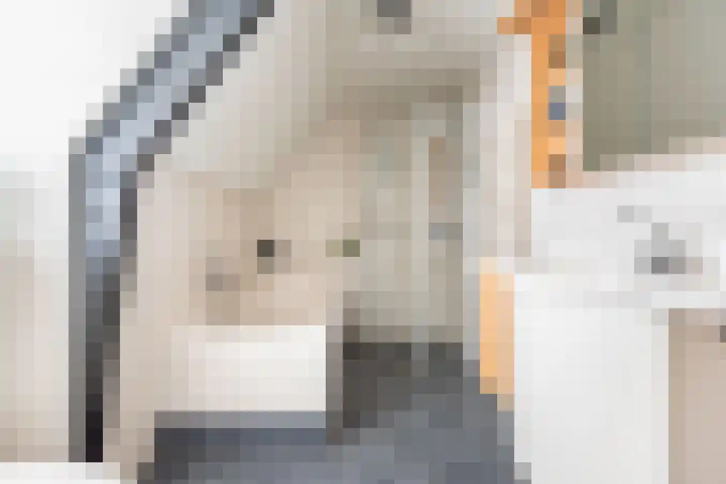 Anholtseweg 8 Gendringen thumbnail 37