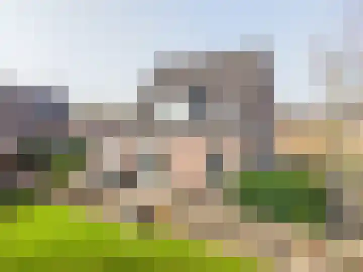 Anholtseweg 8 Gendringen thumbnail 41