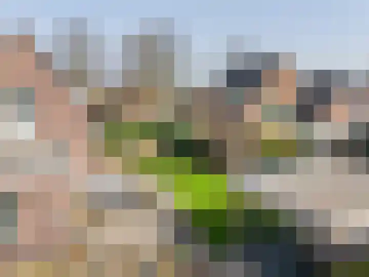 Anholtseweg 8 Gendringen thumbnail 42