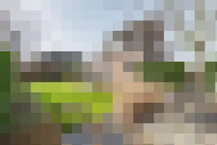 Anholtseweg 8 Gendringen thumbnail 43