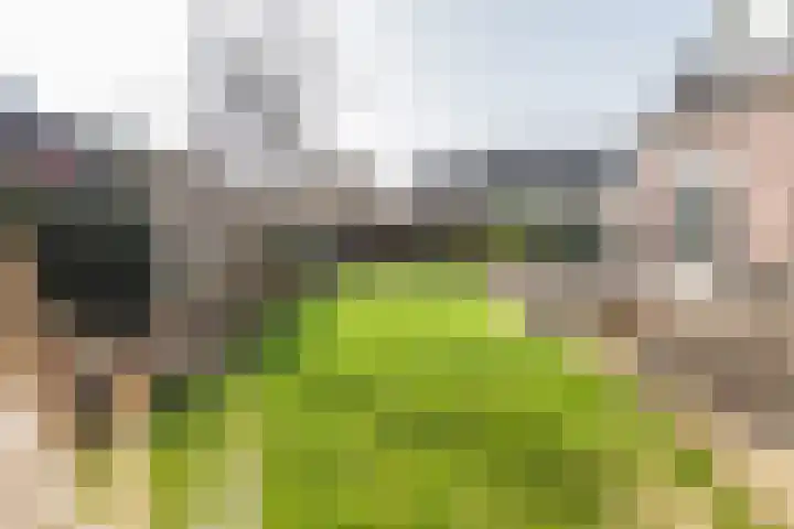 Anholtseweg 8 Gendringen thumbnail 44