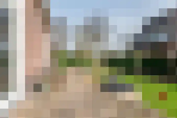Anholtseweg 8 Gendringen thumbnail 45