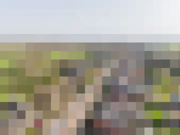 Anholtseweg 8 Gendringen thumbnail 54