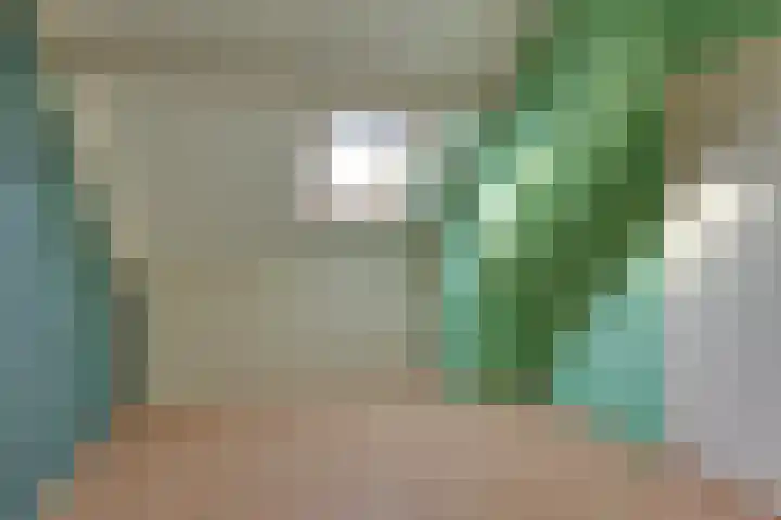 Anijs 14 Nijverdal thumbnail 15