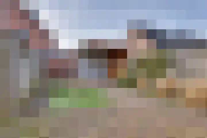 Anijs 14 Nijverdal thumbnail 17