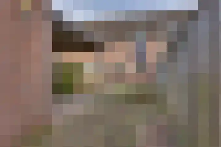 Anijs 14 Nijverdal thumbnail 18
