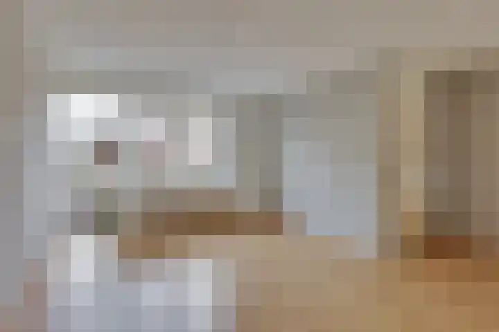 Anijs 14 Nijverdal thumbnail 7