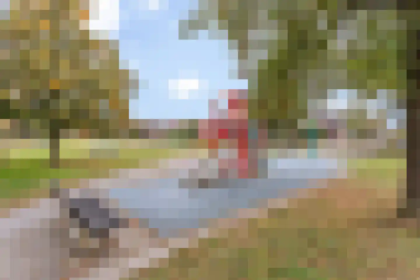 Anijs 18 Nijverdal thumbnail 16