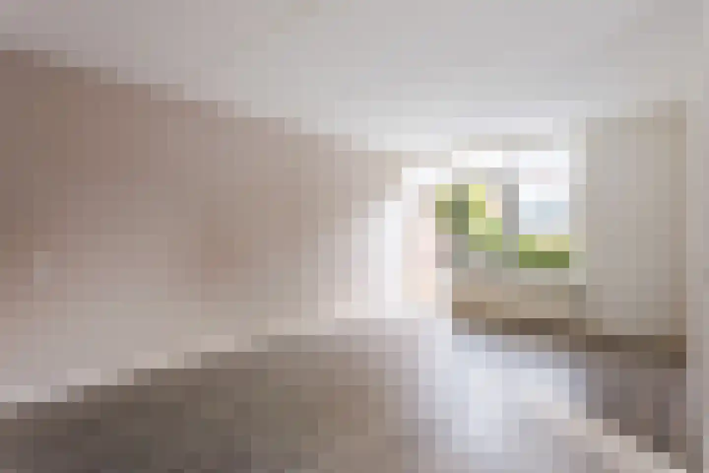 Anijs 18 Nijverdal thumbnail 5