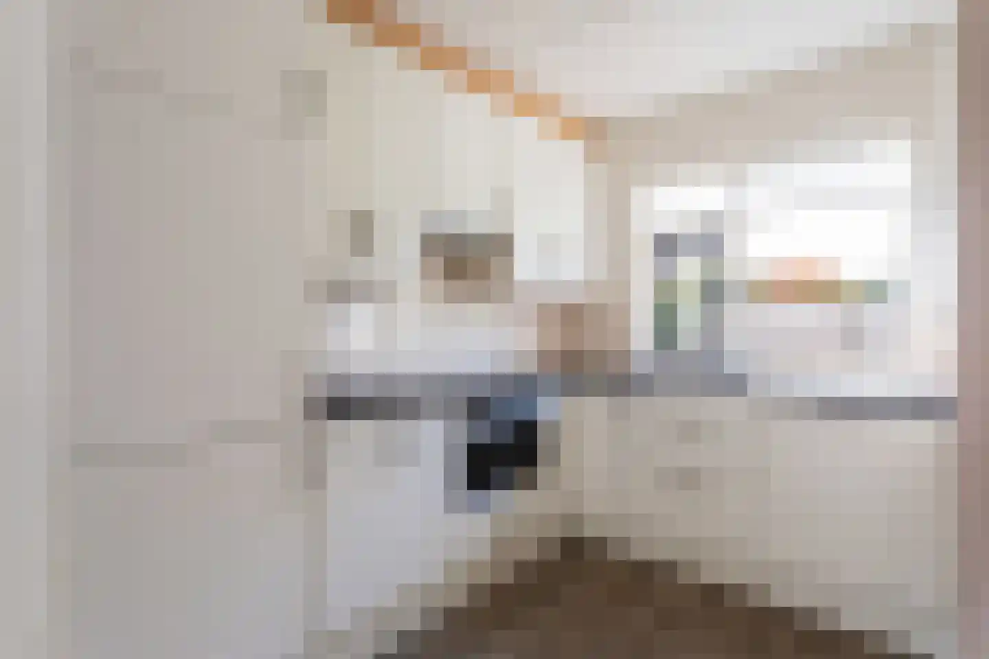 Anijs 18 Nijverdal thumbnail 9