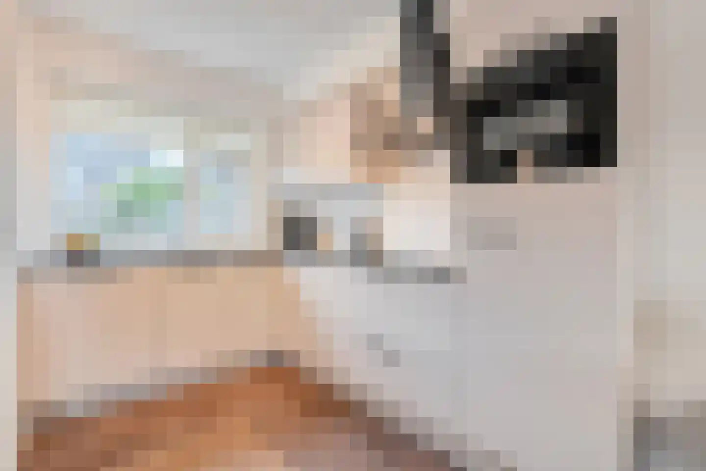 Anijs 6 Nijverdal thumbnail 11