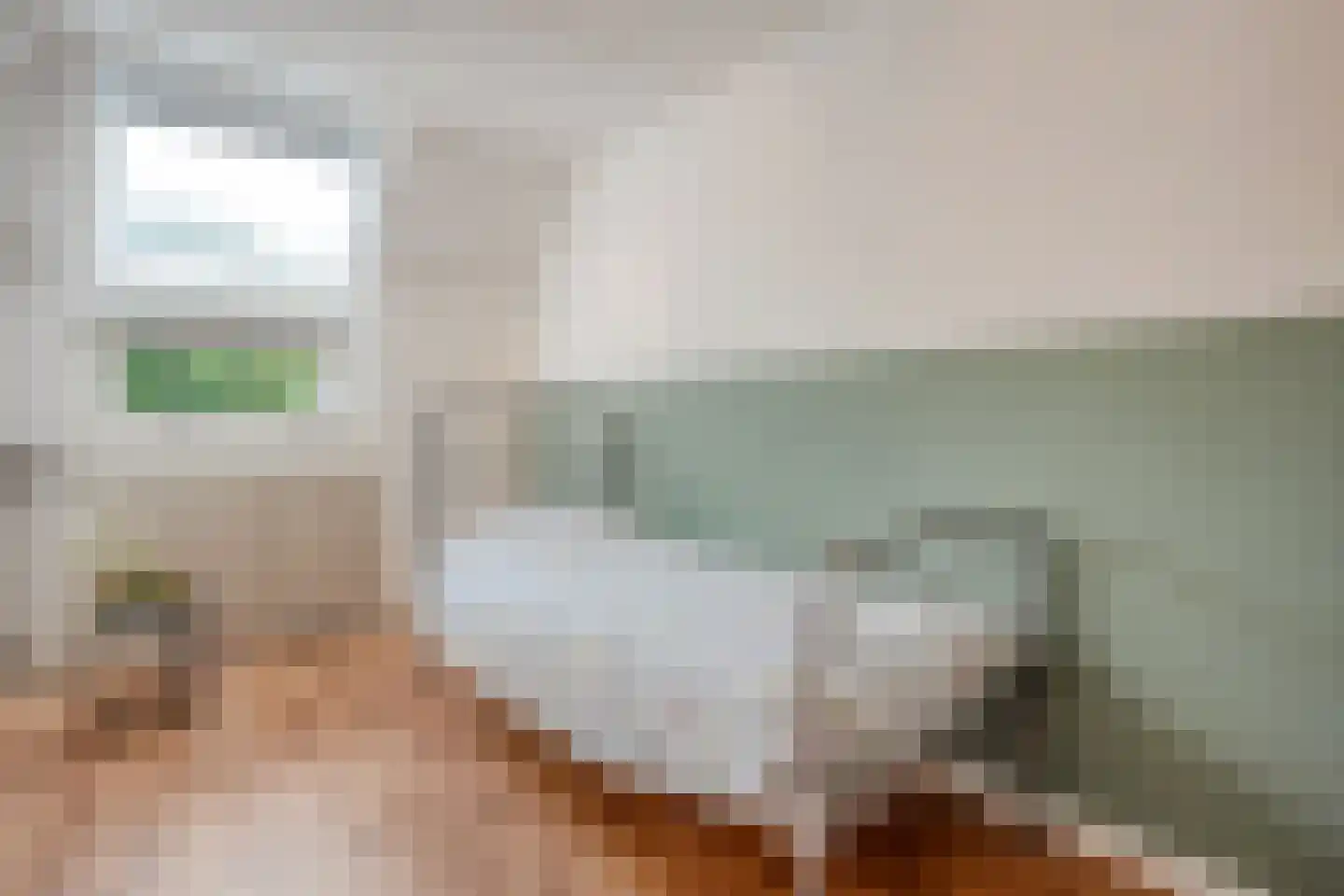 Anijs 6 Nijverdal thumbnail 22