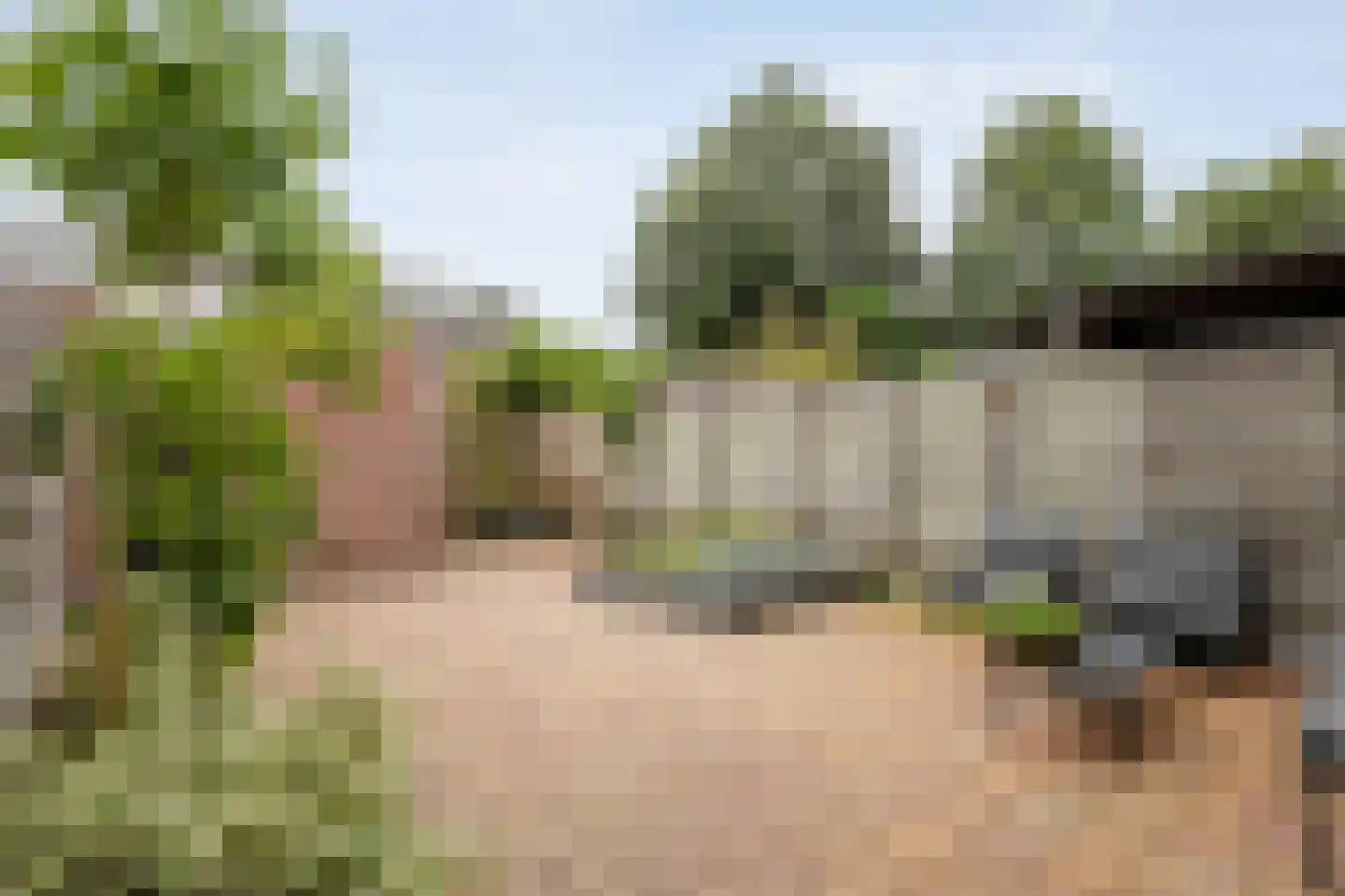 Anijs 6 Nijverdal thumbnail 32