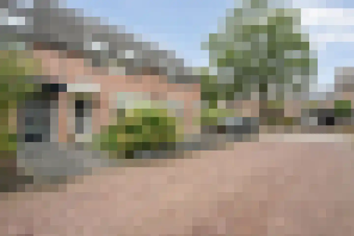 Anijs 6 Nijverdal thumbnail 40