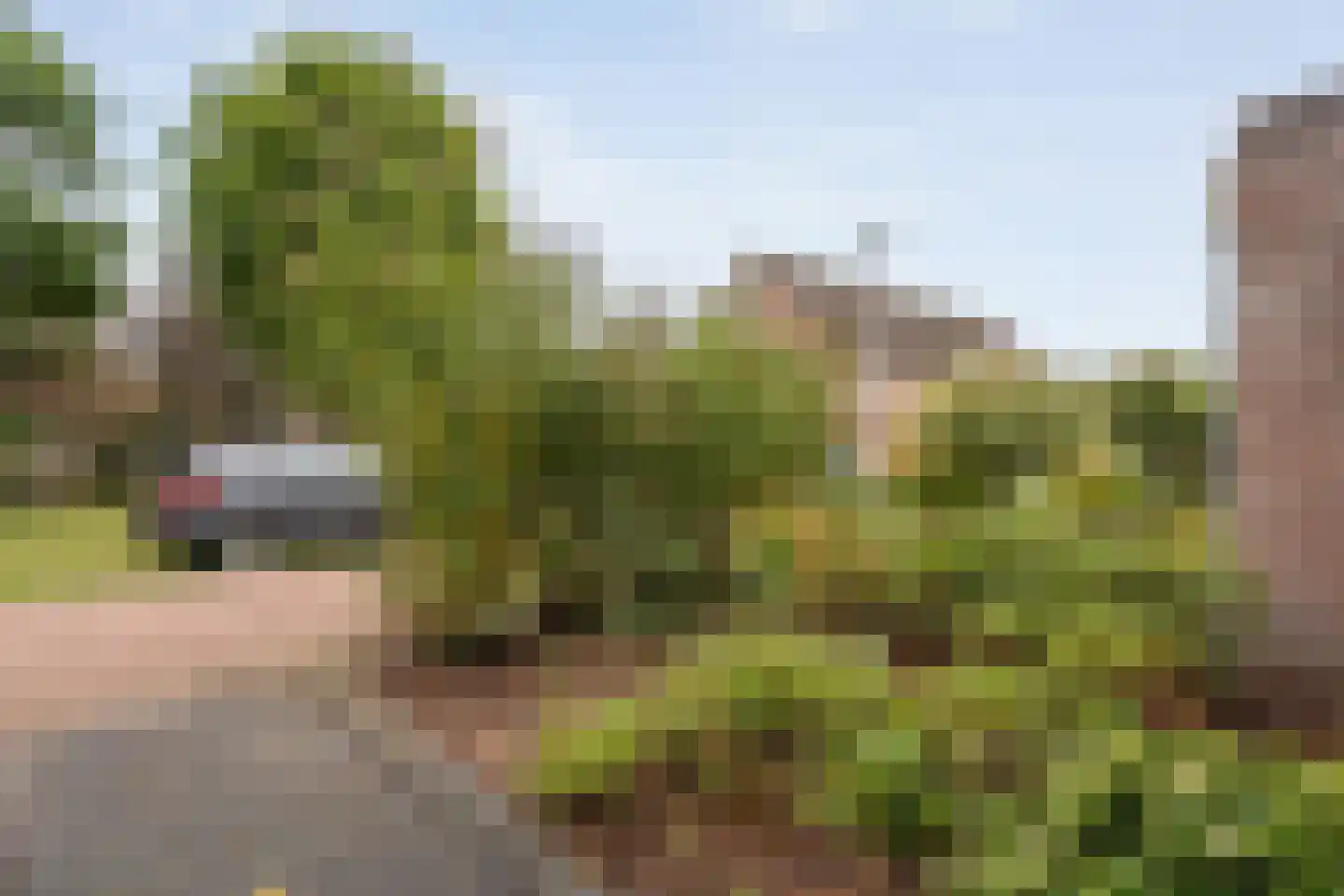 Anijs 6 Nijverdal thumbnail 41
