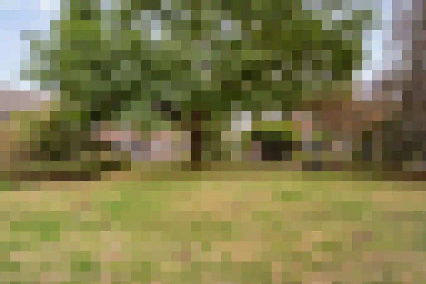 Anijs 6 Nijverdal thumbnail 43
