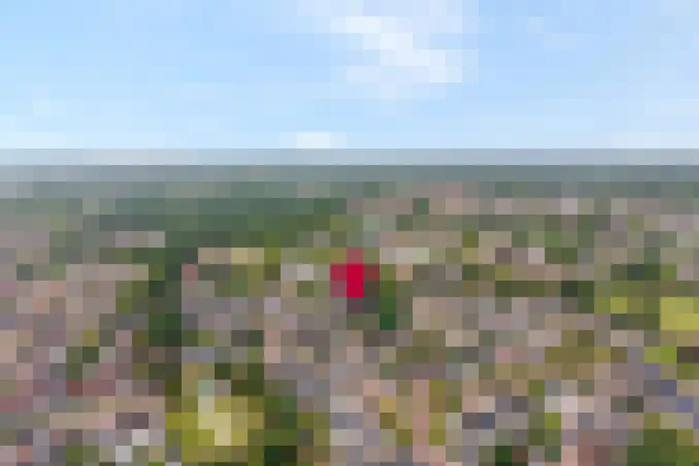 Anijs 6 Nijverdal thumbnail 44