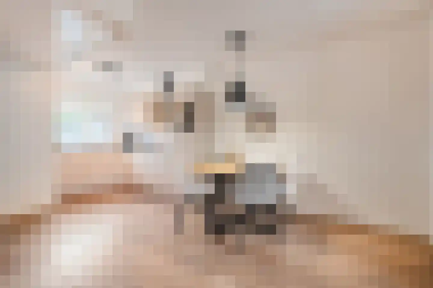 Anijs 6 Nijverdal thumbnail 9