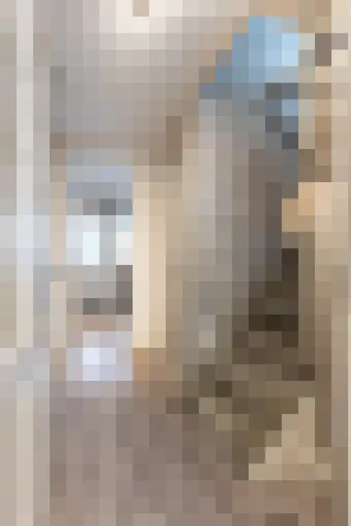 Anijsstraat 11 Apeldoorn thumbnail 16
