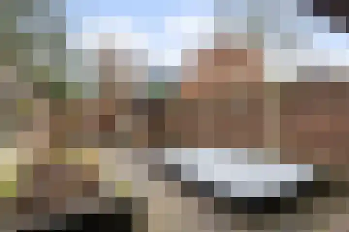 Anijsstraat 11 Apeldoorn thumbnail 25