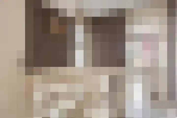 Anijsstraat 11 Apeldoorn thumbnail 34