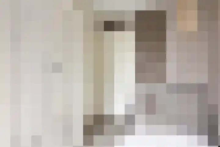 Anijsstraat 11 Apeldoorn thumbnail 40