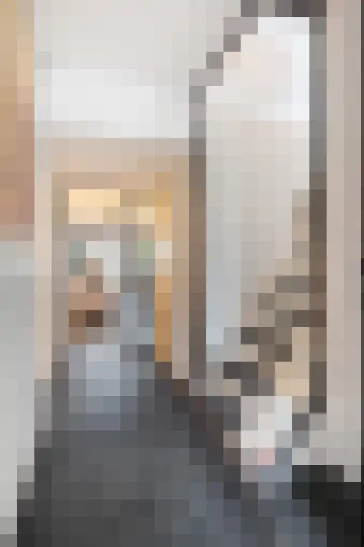 Anijsstraat 18 Apeldoorn thumbnail 22