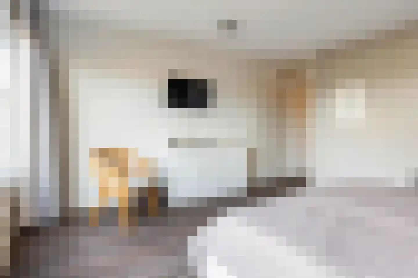 Anijsstraat 31 Apeldoorn thumbnail 16