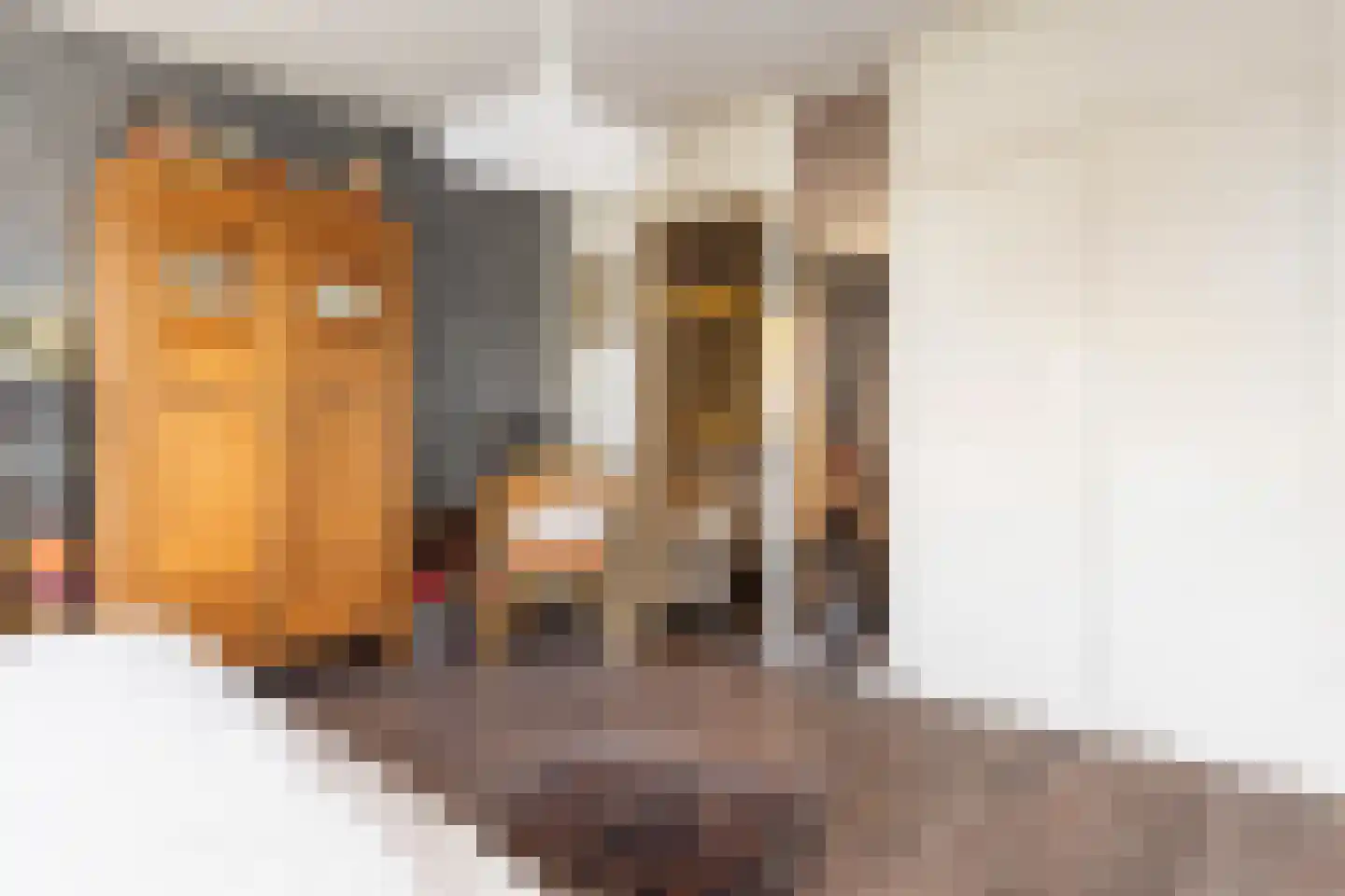 Anijsstraat 31 Apeldoorn thumbnail 20
