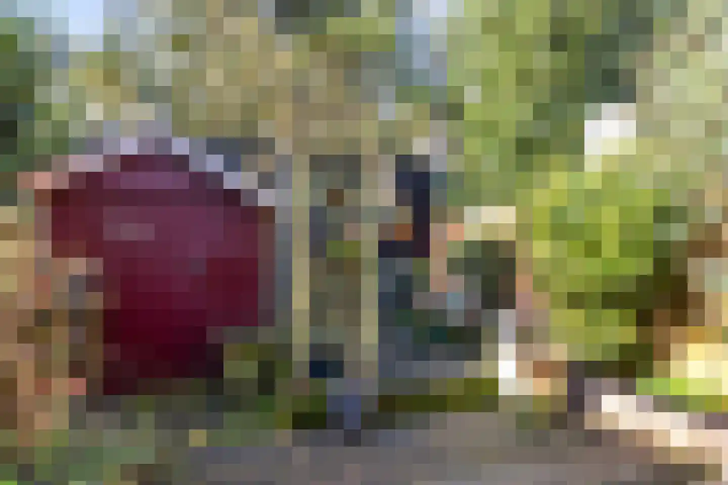 Anijsstraat 31 Apeldoorn thumbnail 29