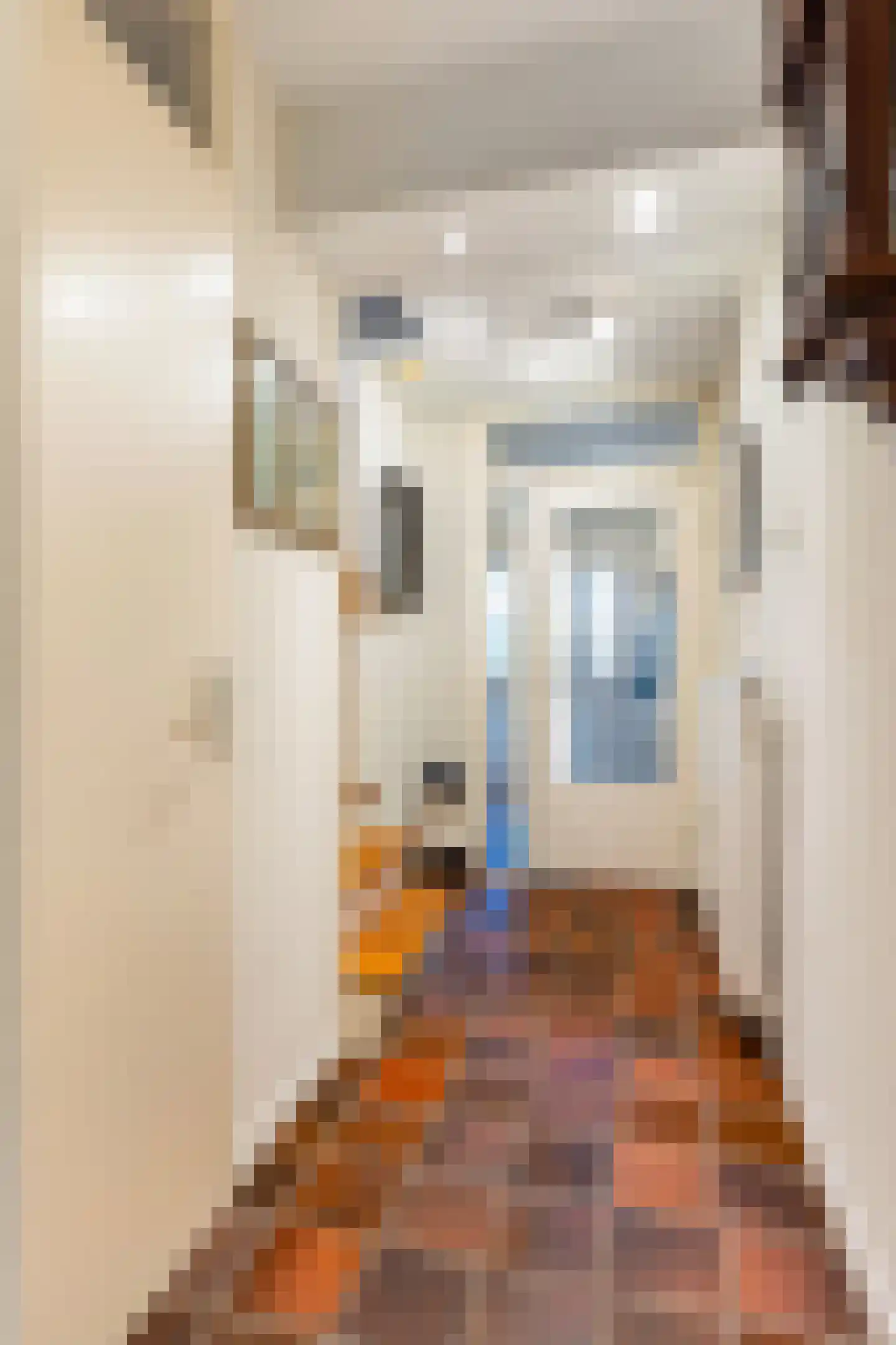 Anijsstraat 31 Apeldoorn thumbnail 32