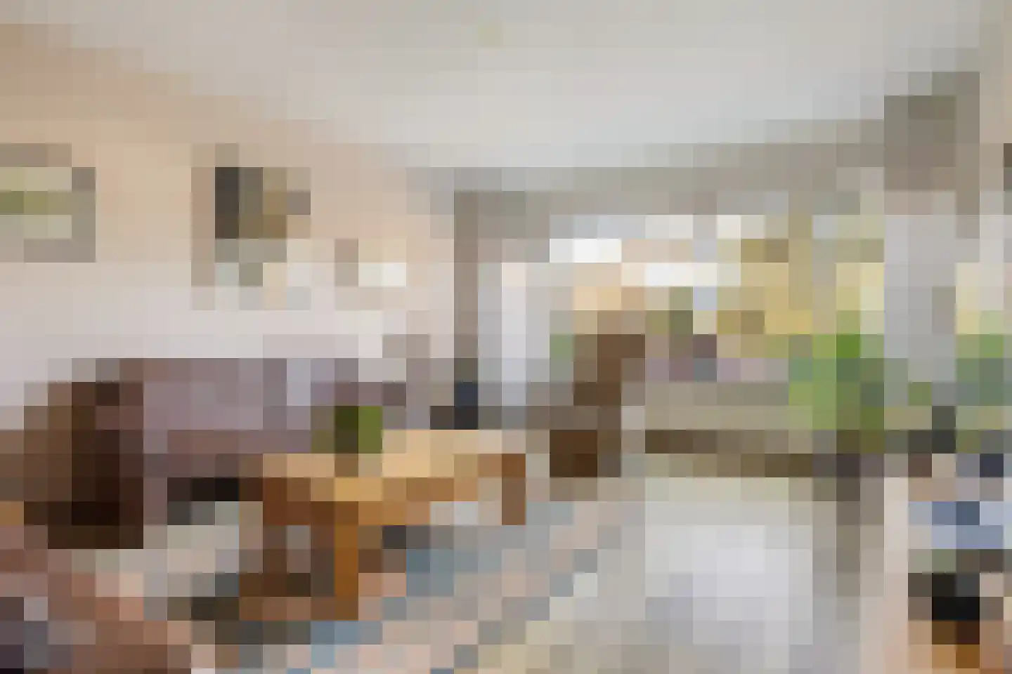 Anijsstraat 31 Apeldoorn thumbnail 4