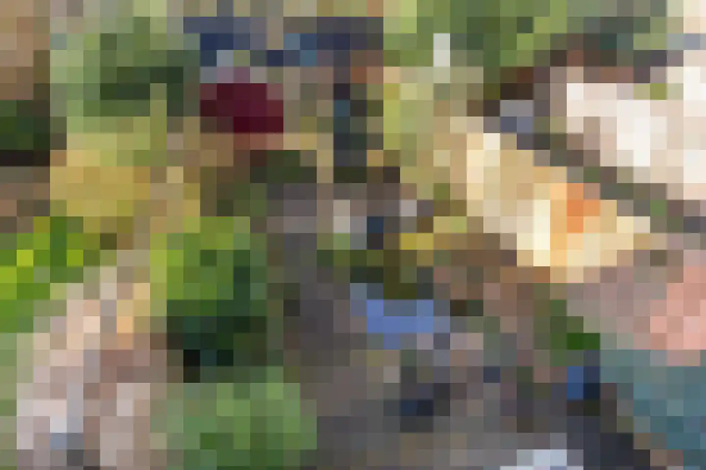 Anijsstraat 31 Apeldoorn thumbnail 6