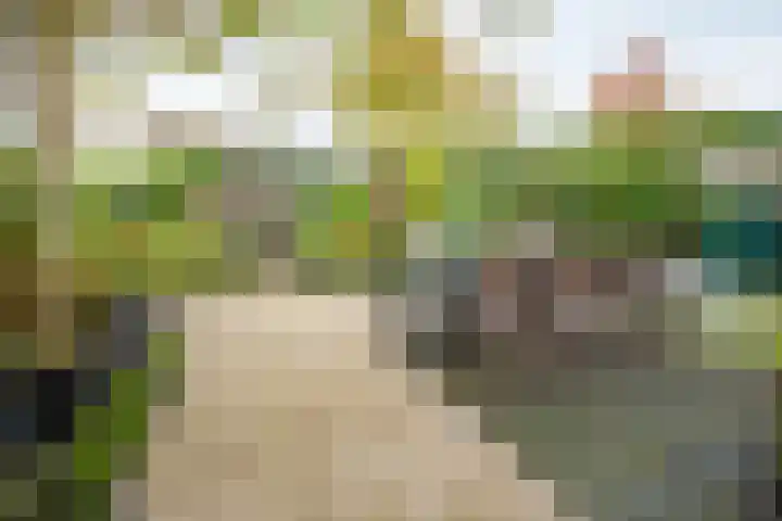 Anijsveld 24 Doetinchem thumbnail 14