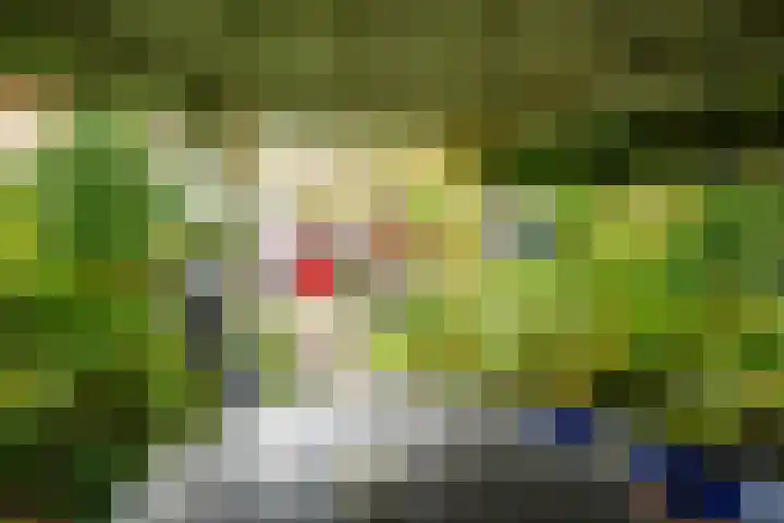 Anijsveld 24 Doetinchem thumbnail 16