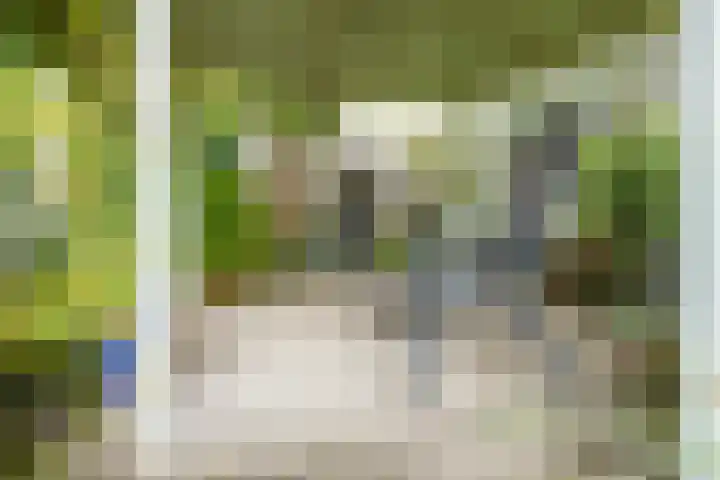 Anijsveld 24 Doetinchem thumbnail 17
