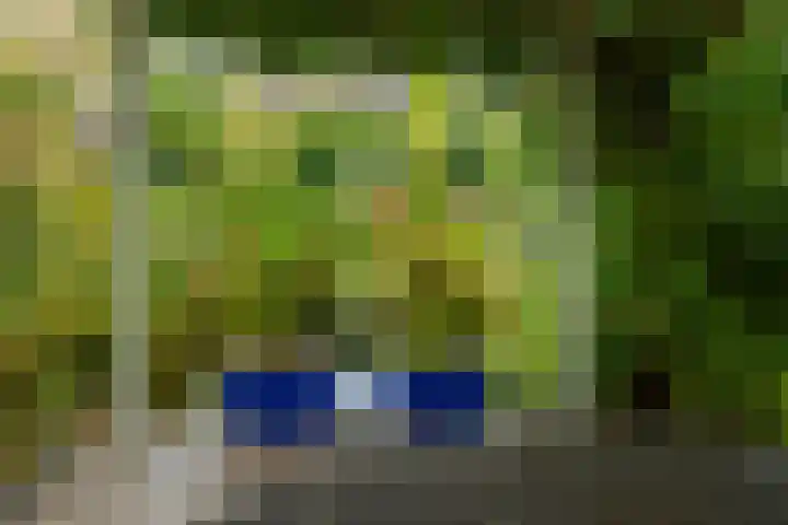 Anijsveld 24 Doetinchem thumbnail 18