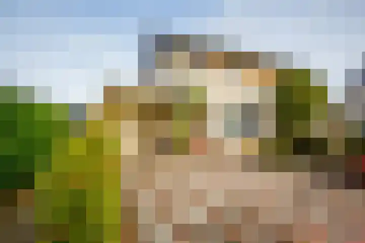 Anijsveld 24 Doetinchem thumbnail 19