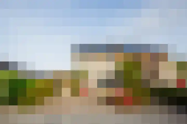 Anijsveld 24 Doetinchem thumbnail 39