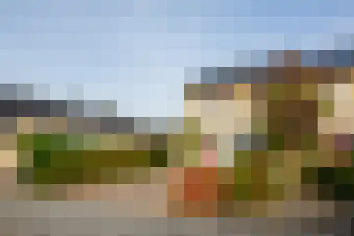 Anijsveld 24 Doetinchem thumbnail 40