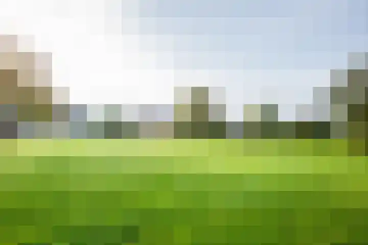 Anijsveld 24 Doetinchem thumbnail 41