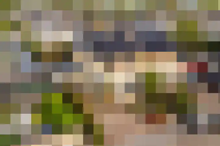 Anijsveld 24 Doetinchem thumbnail 42