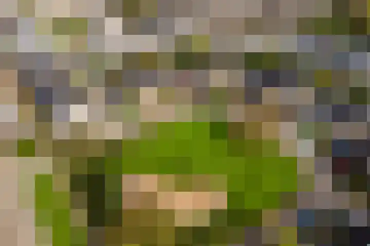 Anijsveld 24 Doetinchem thumbnail 43