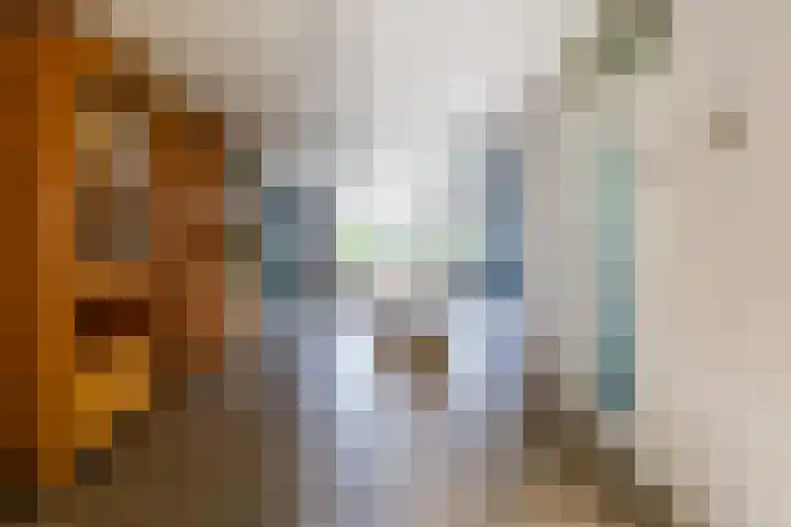 Anijsveld 24 Doetinchem thumbnail 7