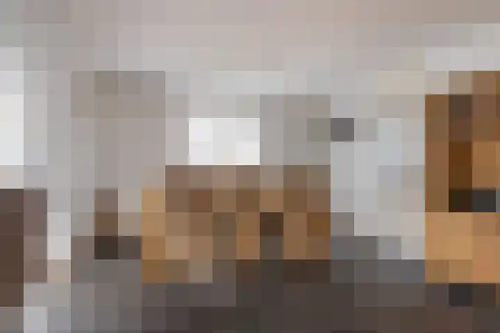 Anijsveld 39 Veghel thumbnail 12