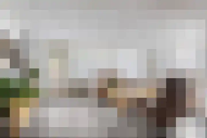 Anijsveld 39 Veghel thumbnail 14