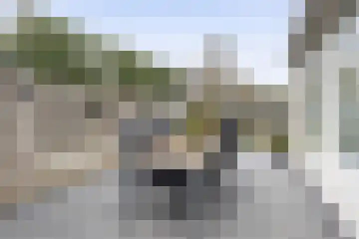 Anijsveld 39 Veghel thumbnail 26